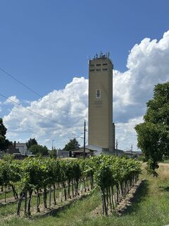 Foto von Gerald Dallhammer entlang der Tour