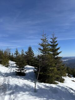 Fotografija s spletne strani Thomas Brandstaetter na poti