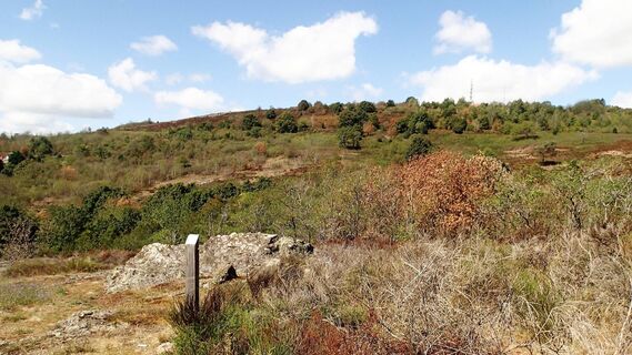 lande-de-la-chaume_le-creusotccen_bourgogne ©CEN Bourgogne