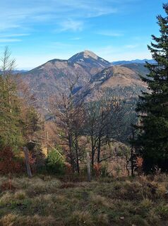 Photo de Mimi le long du parcours