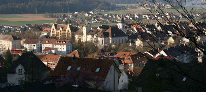 Blick auf Waldshut