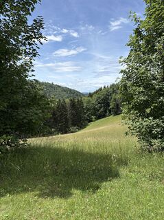 Foto von Reinhard Frewein entlang der Tour
