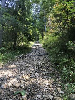 Fotografija s spletne strani Peter Bolliger na poti