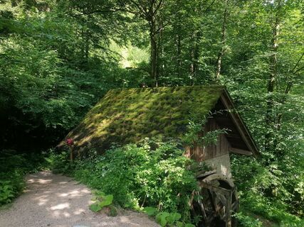 Foto von Viktoria Ellinger entlang der Tour