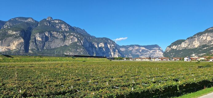 Foto von Alois Hörbinger entlang der Tour