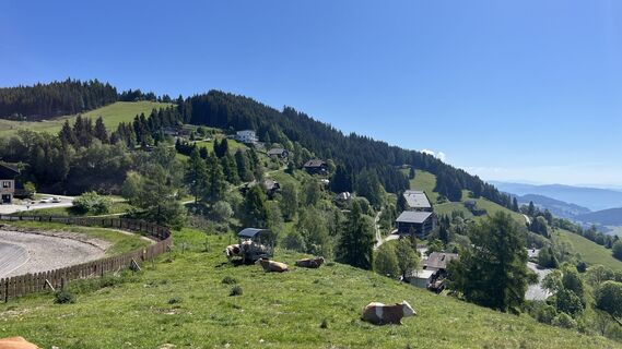 Foto de Ma Wa a lo largo del recorrido