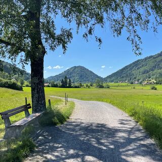 Forstweg Richtung Hündle