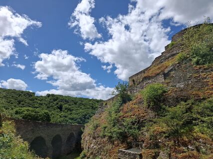 Foto von nordbergschnecke entlang der Tour