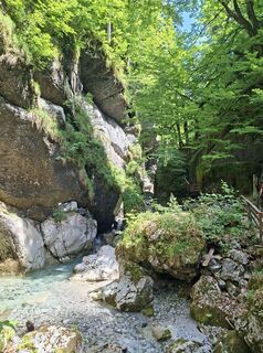 Photo de Nico Offer le long du parcours