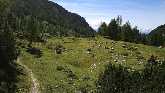 Foto från kriessda under resans gång