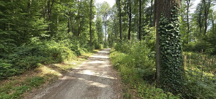 Zdjęcie z Hieu Duc Tram (Tudoi61) wzdłuż trasy