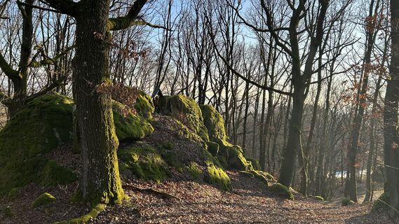 Fotografia z Matthias G74 na trase