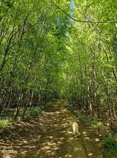 Foto von Claudia Maurer entlang der Tour