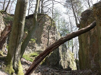 Tourismus Service Bergstrasse Burgensteig Geopfad Schriesheim Roland Robra