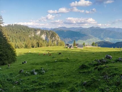 Bärenfeichtenalm