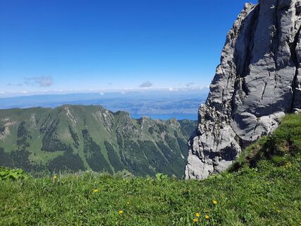 Foto von Ton Wisman entlang der Tour