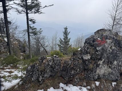 Foto de zizi a a lo largo del recorrido