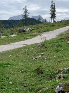 Photo de L.N. le long du parcours