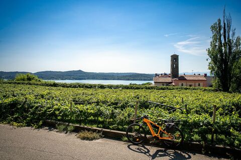 Blick auf die Weinberge und den Viverone-See