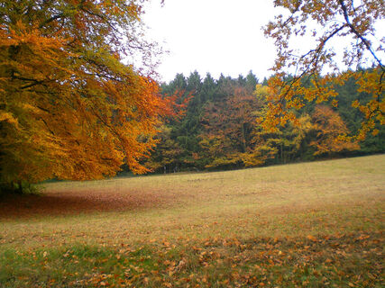 Eiberg - Herbst