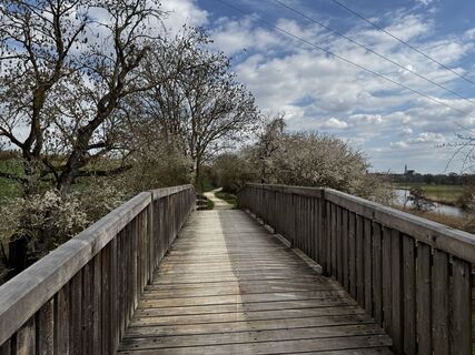 Fotografia z Schaali na trase