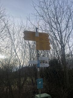 Foto da Ani lungo il tour