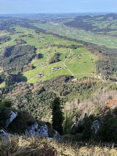 Foto von Flink entlang der Tour