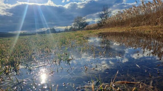 Foto von Anita Lunzer 1 entlang der Tour