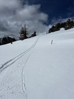 Zdjęcie z Schabsi wzdłuż trasy