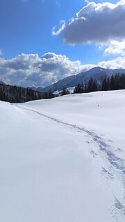 Foto von Róbert Balogh entlang der Tour