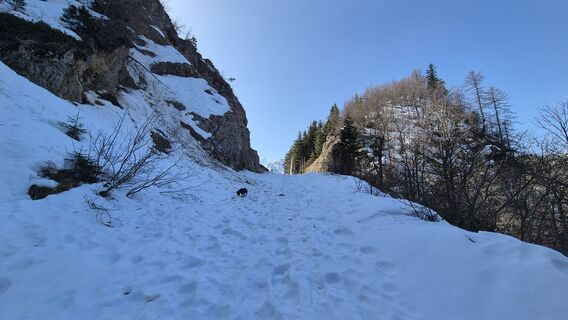 Foto von Günter Smole entlang der Tour