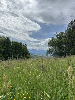 Photo de Babs Holz le long du parcours