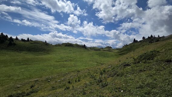 Fotografia z Hameister na trase