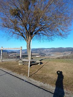 Foto de Harald a lo largo del recorrido