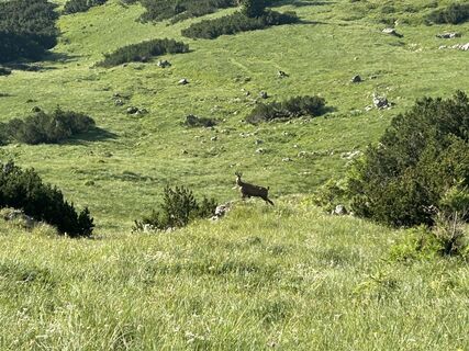 Foto de Stefan Ruhringer a lo largo del recorrido