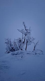 Fotografia z Dávid Mjartan na trase