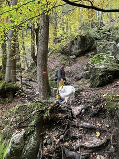 Photo de Stephan Gerstmeier le long du parcours