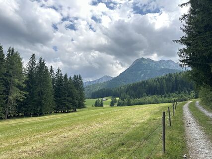 Foto von Natur_erleben_dg entlang der Tour