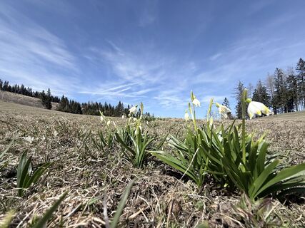 Fotografie z Anton Lilek na trase
