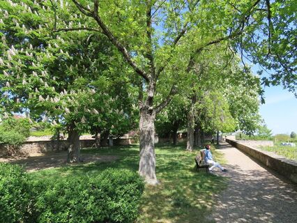 Schlossgarten Bild 1