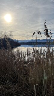 Foto von Bohni entlang der Tour