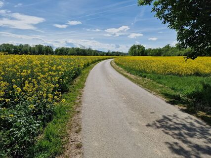 Foto von Hans Bogner entlang der Tour