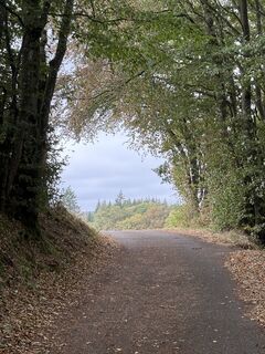 Foto von P-C-K entlang der Tour