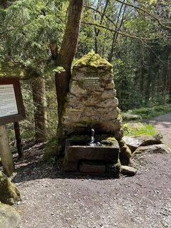Foto von Babs Holz entlang der Tour
