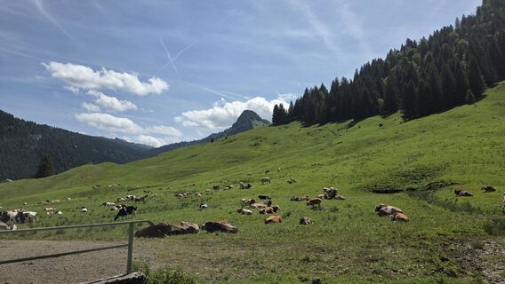 Foto von V Feurstein entlang der Tour