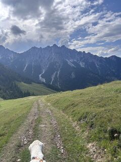Foto von Bene Schadel entlang der Tour