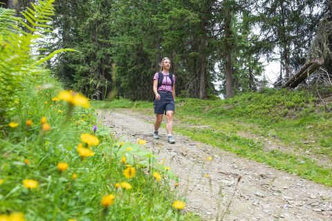 Wanderung auf dem WM-Pfad Planai