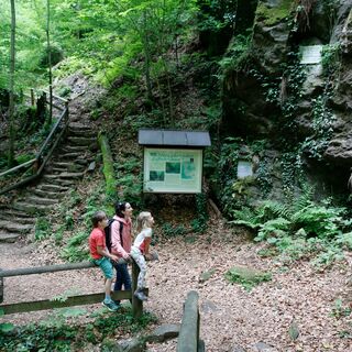 Im Natura 2000 Europa Schutzgebiet Deutschlandsberger Klause