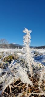 Foto de Thomas Reiner a lo largo del recorrido