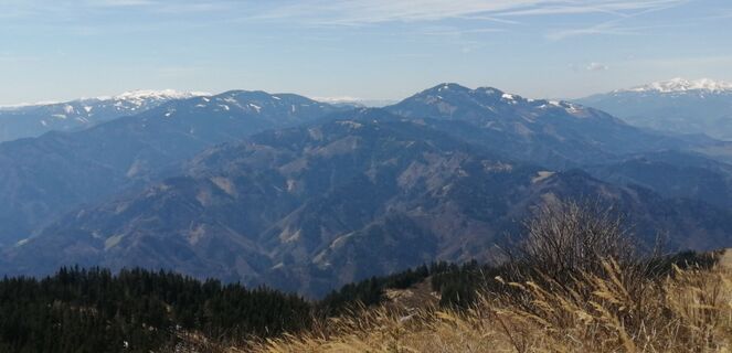 Gabraun, Steiermark/Österreich